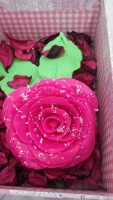 Rosa con nieve