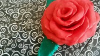Rosa roja simple